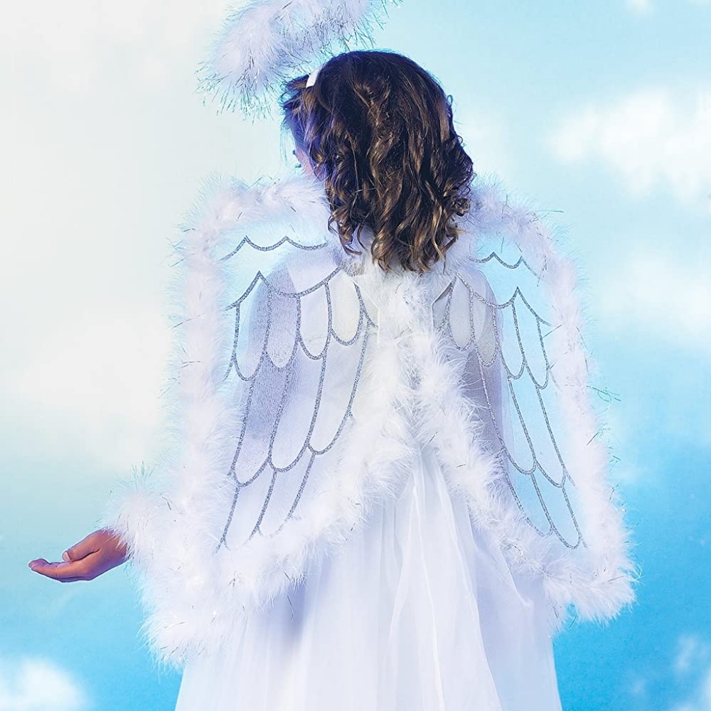 New in Package! Princess Paradise Angel Wings